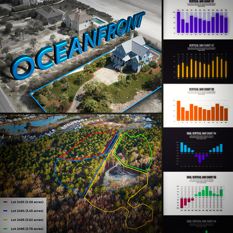 Skills-MotionGraphics