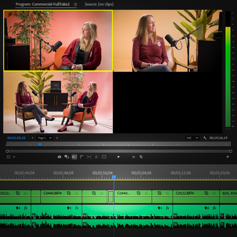 Skills-MulticamEditing
